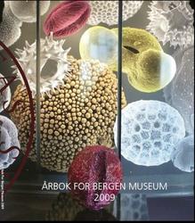 Skattekisten  Bergen Museum