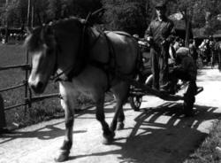 Vognparaden 21. mai 1978. Løken med høykjerra.