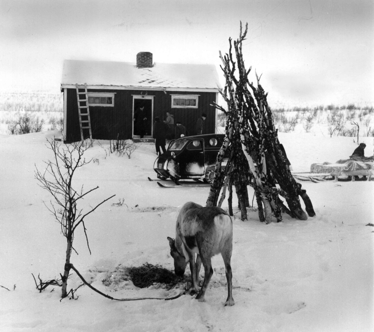 Fjellstue ved Favresjø, utenfor står mennesker, et kjøretøy (fraktebil) og et reinsdyr. Finnmark 1951.