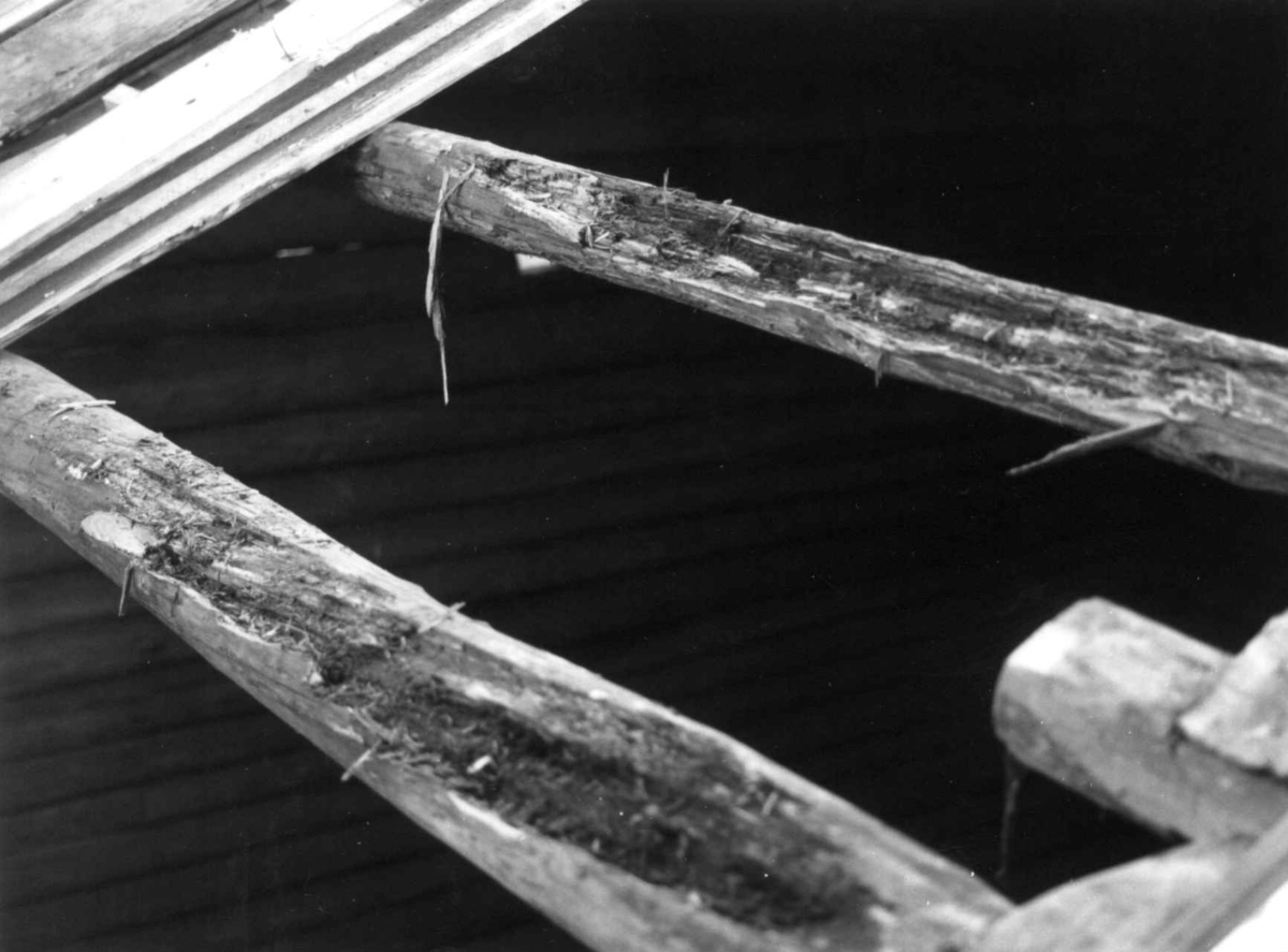 Stall-låve fra Døli, Nannestad, Akershus. Reperasjon på Norsk Folkemuseum, høsten 1978. Takåser mot Stevneplassen sett mot den østre gavlen.



      
Bygningsnr. 103.
