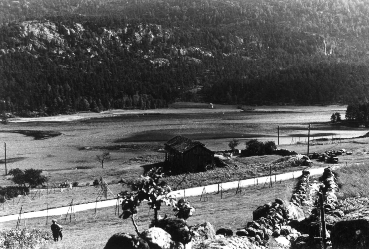 "Hamp-ågr-berje" med vei og uthus sett ovenfra. Haddeland 1941. Haddeland 1941.