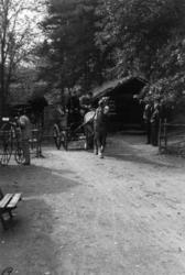 Sykkelkavalkade, sept. 1983.