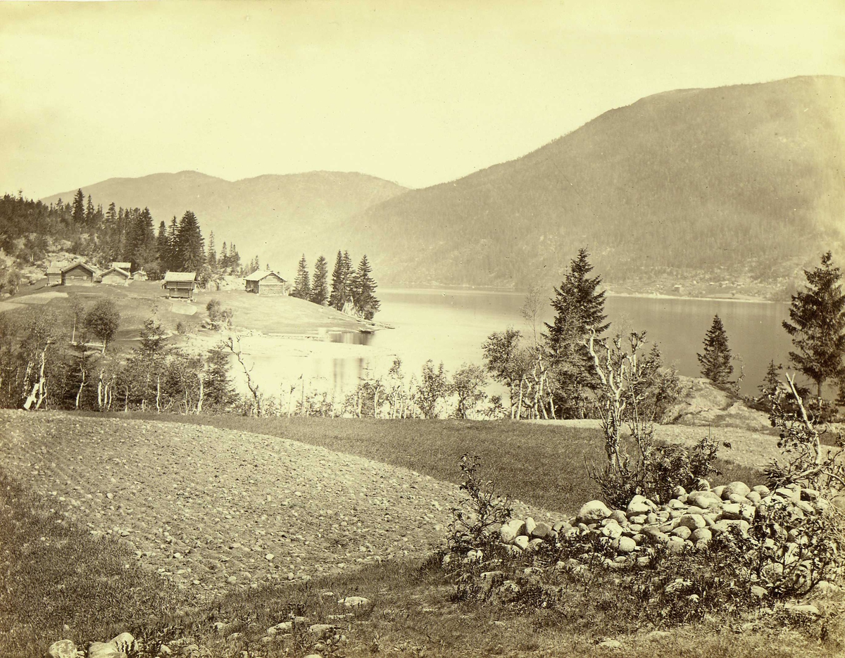 Landskap, Tinnoset, Notodden, Telemark, med gårdstun.
Fra serie norske landskapsfotografier tatt av den engelske fotografen Henry Rosling (1828-1911).