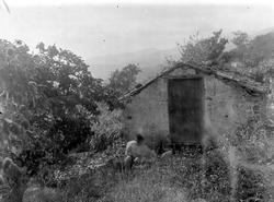 Fra Madeira (ant.), mann med hatt sittende utenfor uthus i n