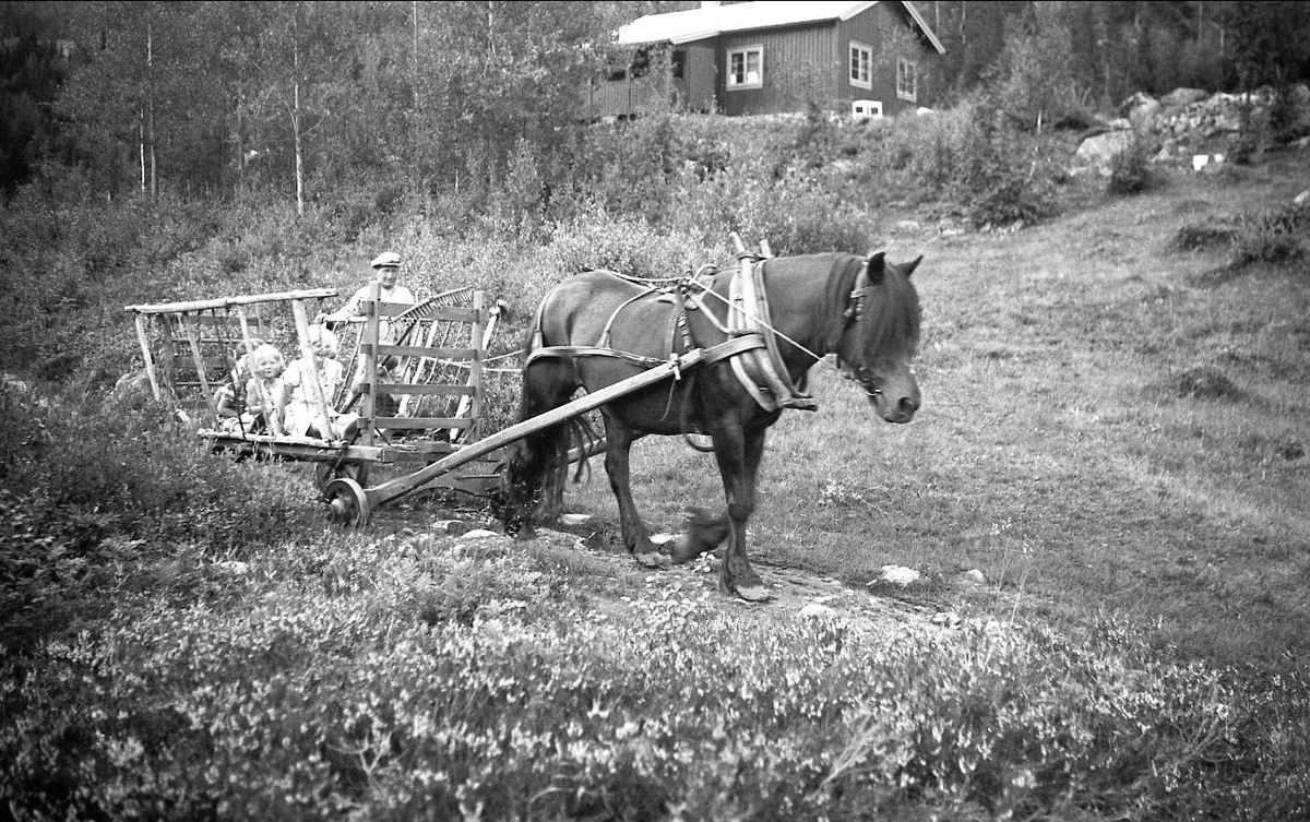 Elling Ligarden med hesten Blakken. I høyvogna sitter søstrene Ligård. I bakgrunnen ses familien Jebsens hytte "Kosebu". Familien Jebsen var venner av Dordi og Fritjof Arentz. Fotografert 1937.