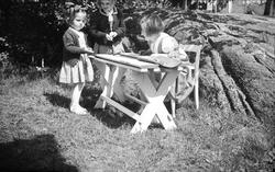 Nøtterøy 1939. Kari, Siri og Guri Arentz leker i en hage. Le