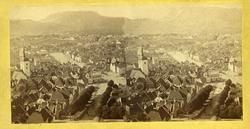 Stereoskopi. Parti av Bergen, Hordaland sett fra Skansen.