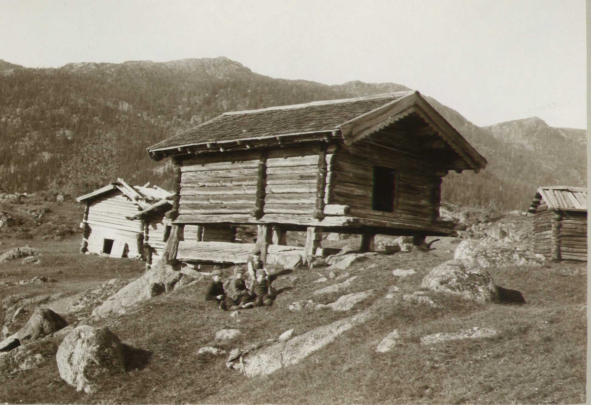 Bur, Sneåsen, Tuddal, Hjartdal, Telemark. Fire gutter sittende i forgrunnen. Fotografert 1908.