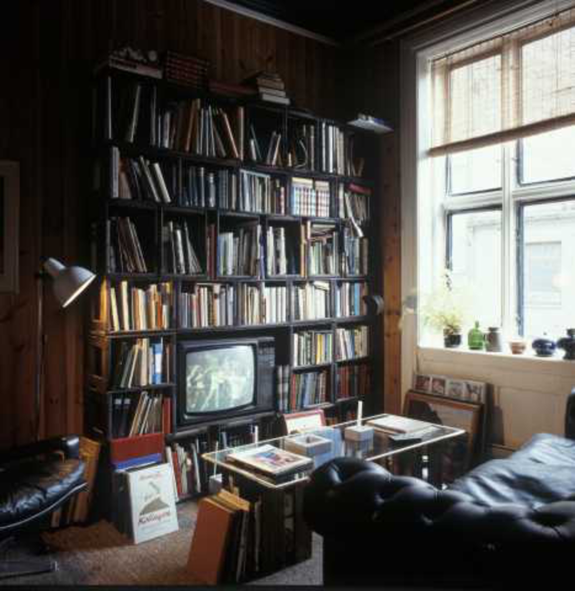 Interiør med bokhylle, TV og sofa fra hjørneleiligheten i 2. etg. i Wessels gate 15, Oslo, 1984