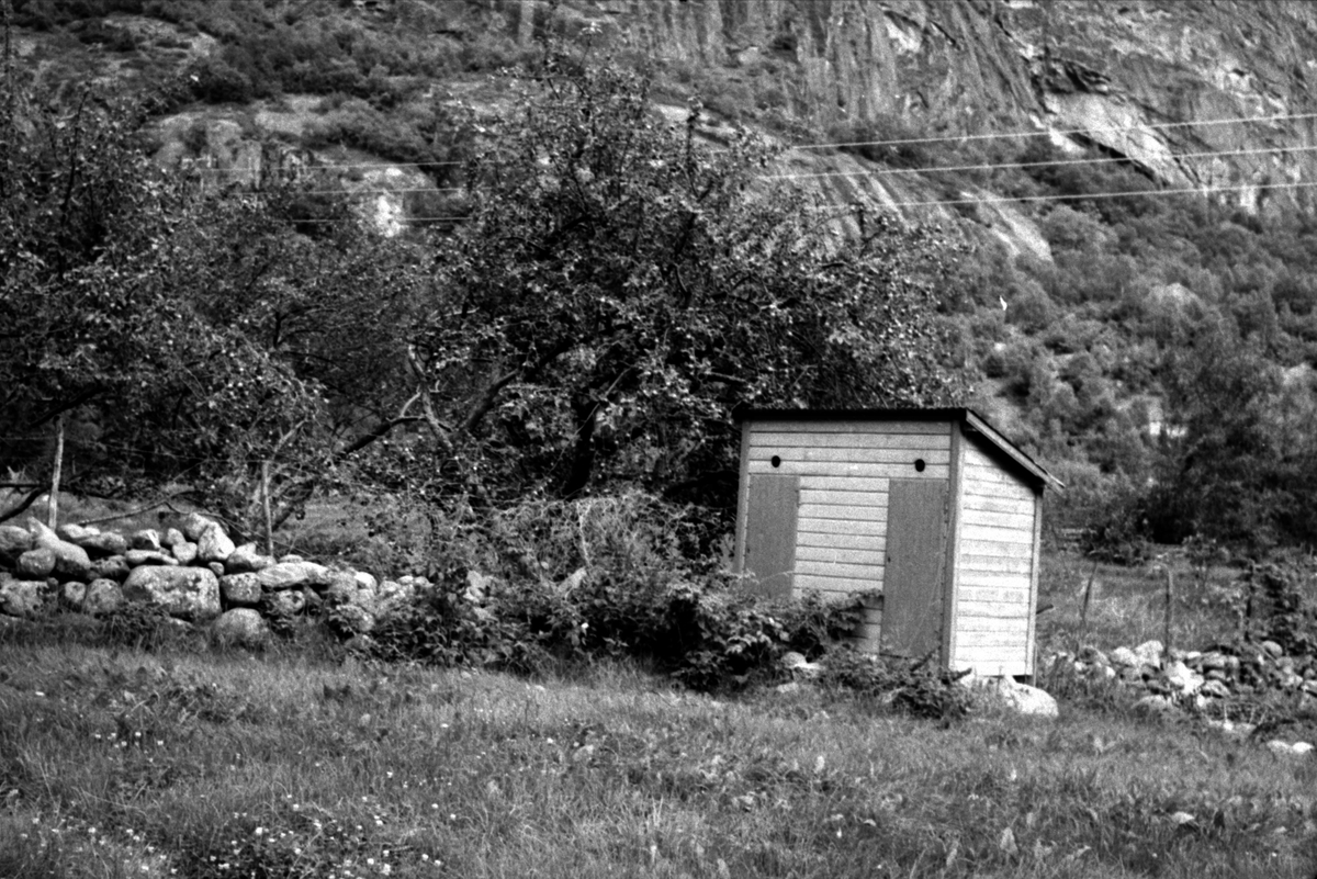 Ljøsne, Lærdal, Sogn og Fjordane, bygget 1866. Utedo tilhørende skolehus, ved steingjerde og fjell. Registrering utført 1958-59 av Johan Schiong for Noregs Lærarlag. 