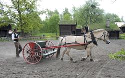 Norsk Folkemuseum, mai 2010. Såing av korn i friluftsmuseet.