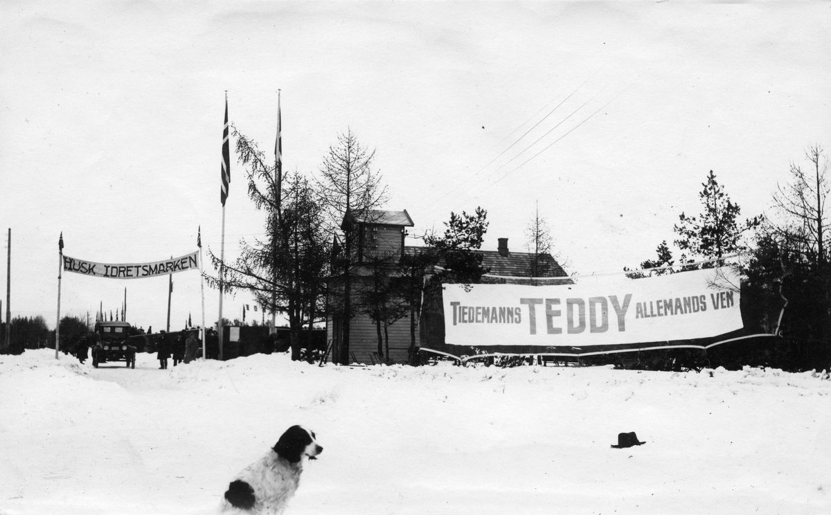 Reklame for Tiedemanns Teddy på fylkesutstillingen i Tønsberg 1925.