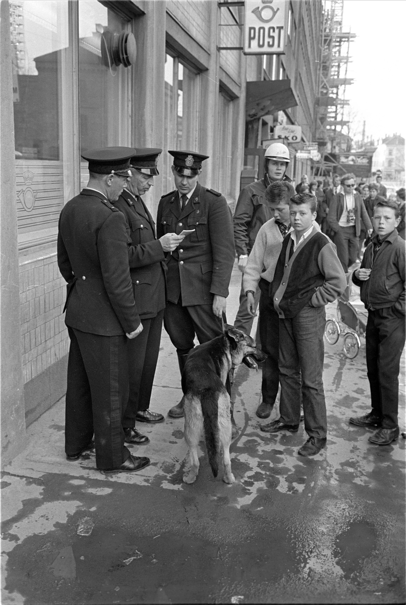 Ran på postkontor i Grønlandsleiret 39. Oslo, mai 1963. Politi med hund.