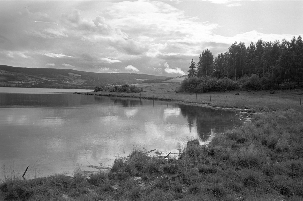 Moelv, august 1962, Stein Gård, vakkert landskap.