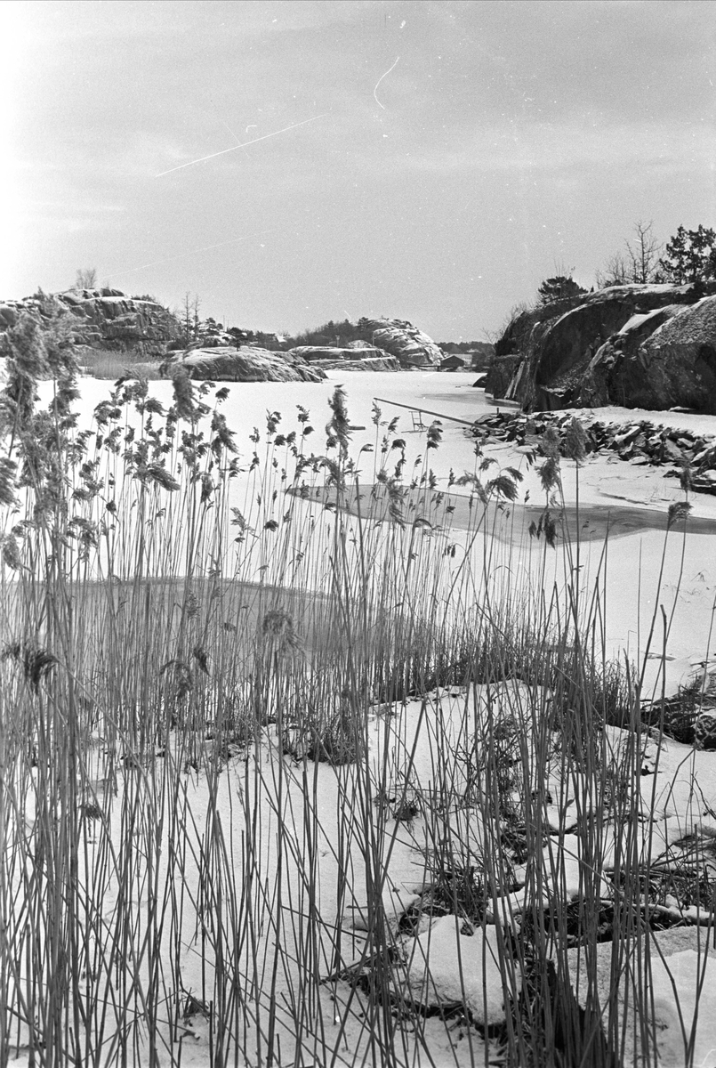 Fra Risør januar 1967. Vakkert vinterlandskap ved Risør.