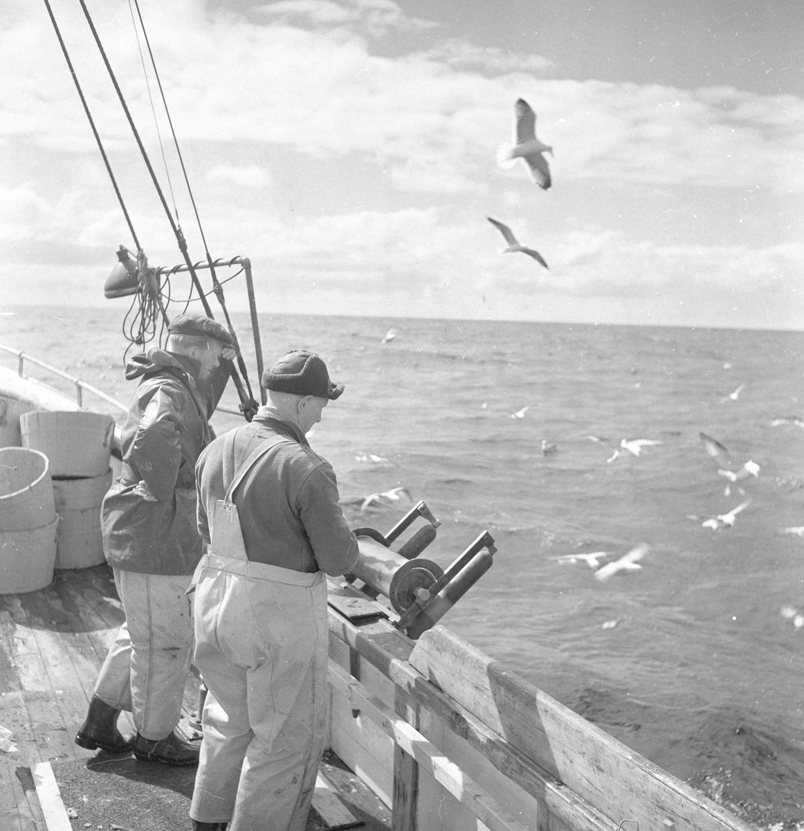 Pigghåfiske på Shetland.
Shetland, 14-22. mai 1958, to fiskere ved relingen.