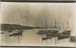 Postkort, Gamvik, nordlandsbåter og russeskuter i forgrunnen
