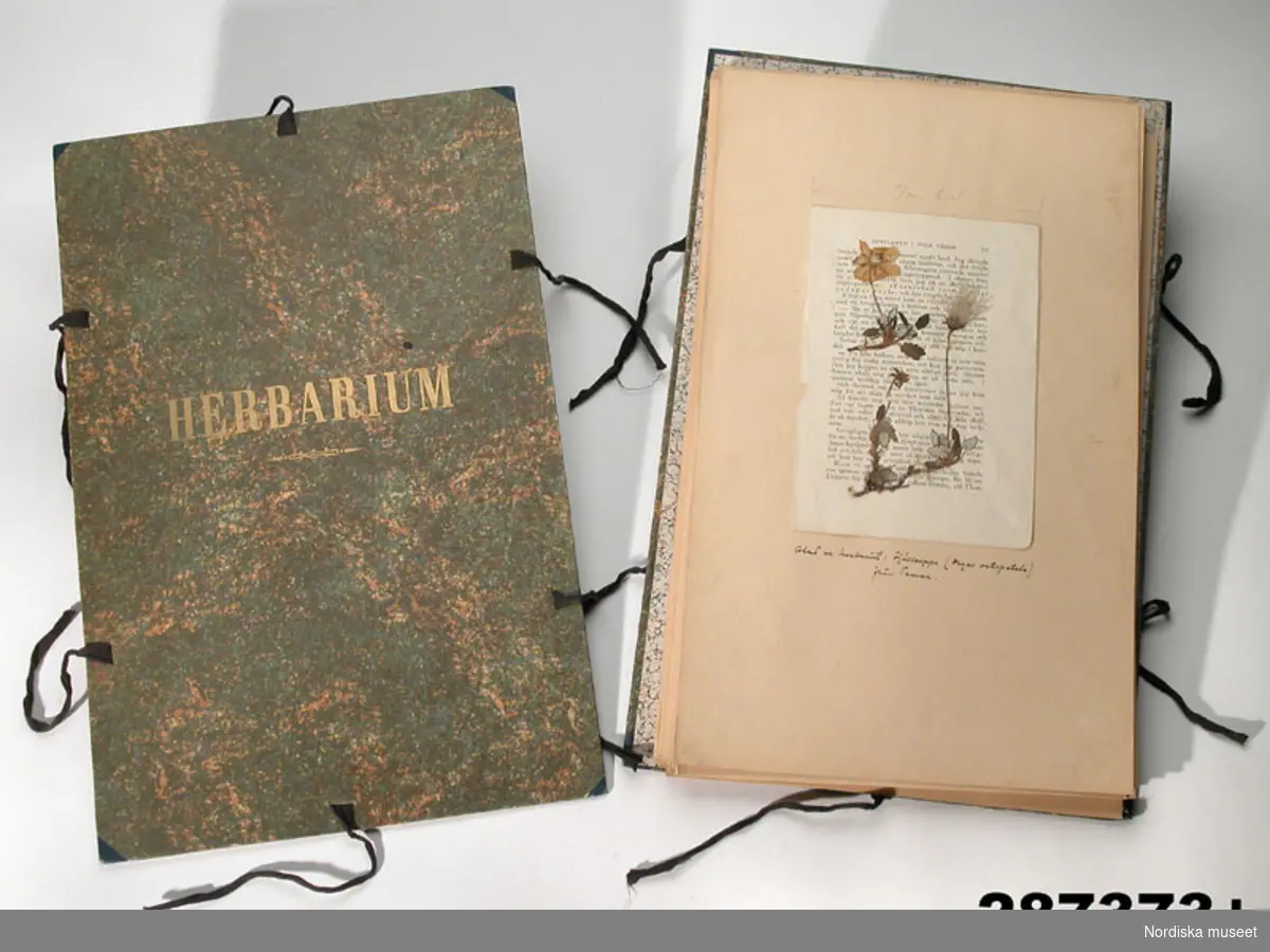 Huvudliggaren:
"+ Herbarium, grönbrun pärm av papp med svarta bomullsband och 'HERBARIUM' i guld; innehåller 60 folieblad med 59 olika växter, därav 3 arter monterade på textsida ur bok och med namn och fyndort. L 42,5 cm, Br 27,5 cm, Tj 2,5 - 3,5 cm. Tillhört Ernst Manker. G[åva] 13/6 1973 [av] Fru Lill Manker, Stockholm."