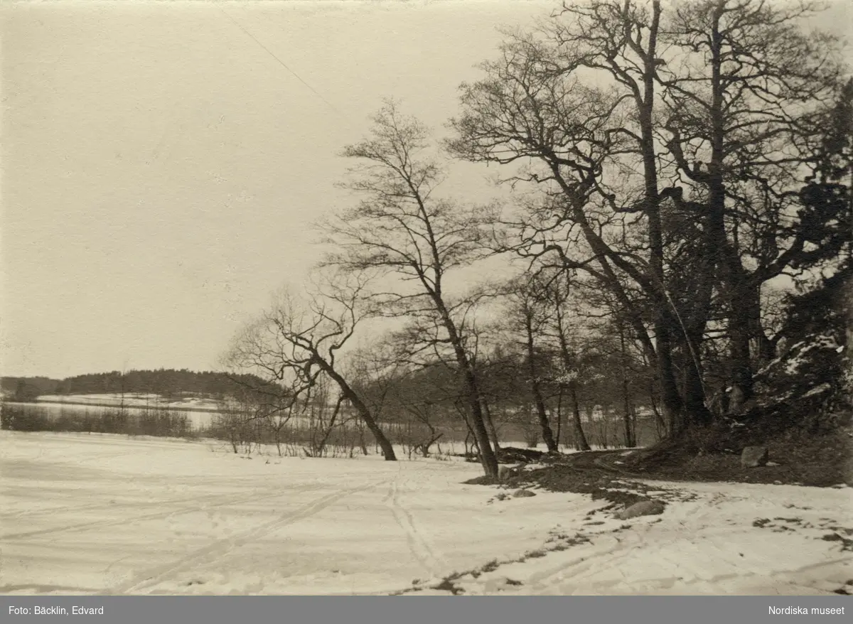 Laduviken vid Oliveberg, 1899.