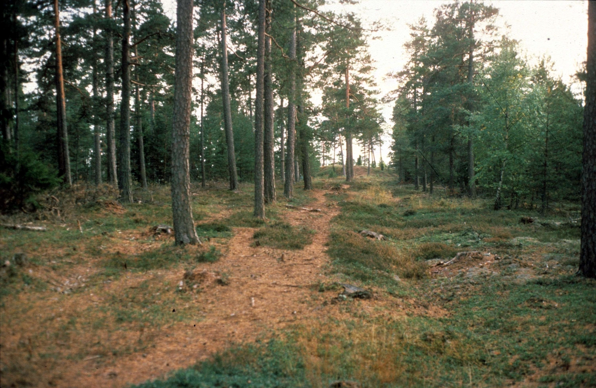 Hålväg, Rösaring, Låssa socken, Uppland 1982