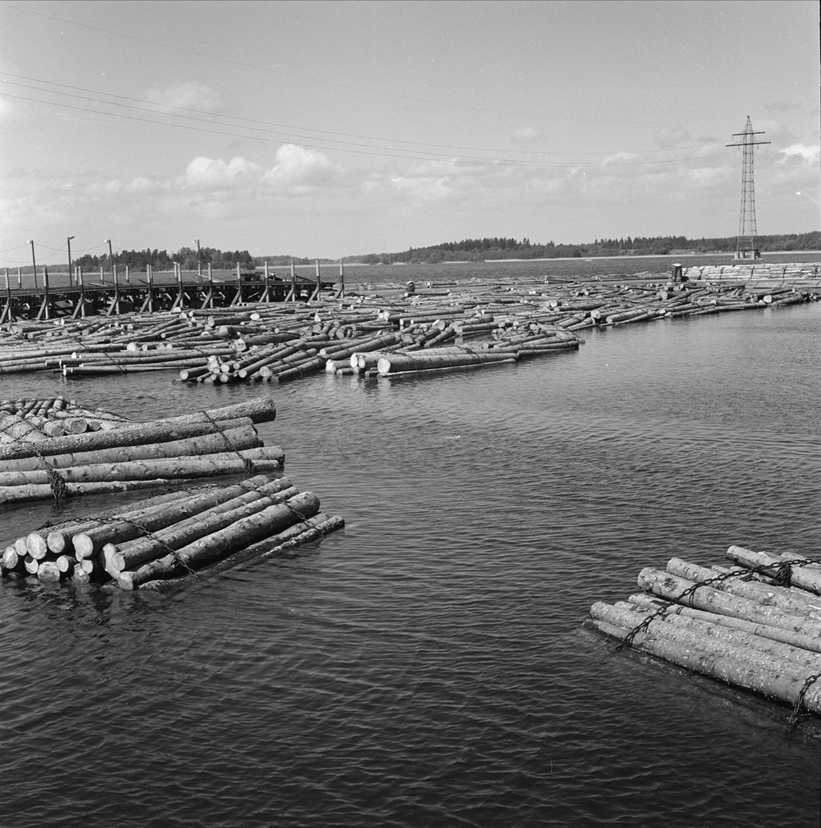 Timmerflottning vid Hjulstabron, Hjulstafjärden i Mälaren, Uppland 1960