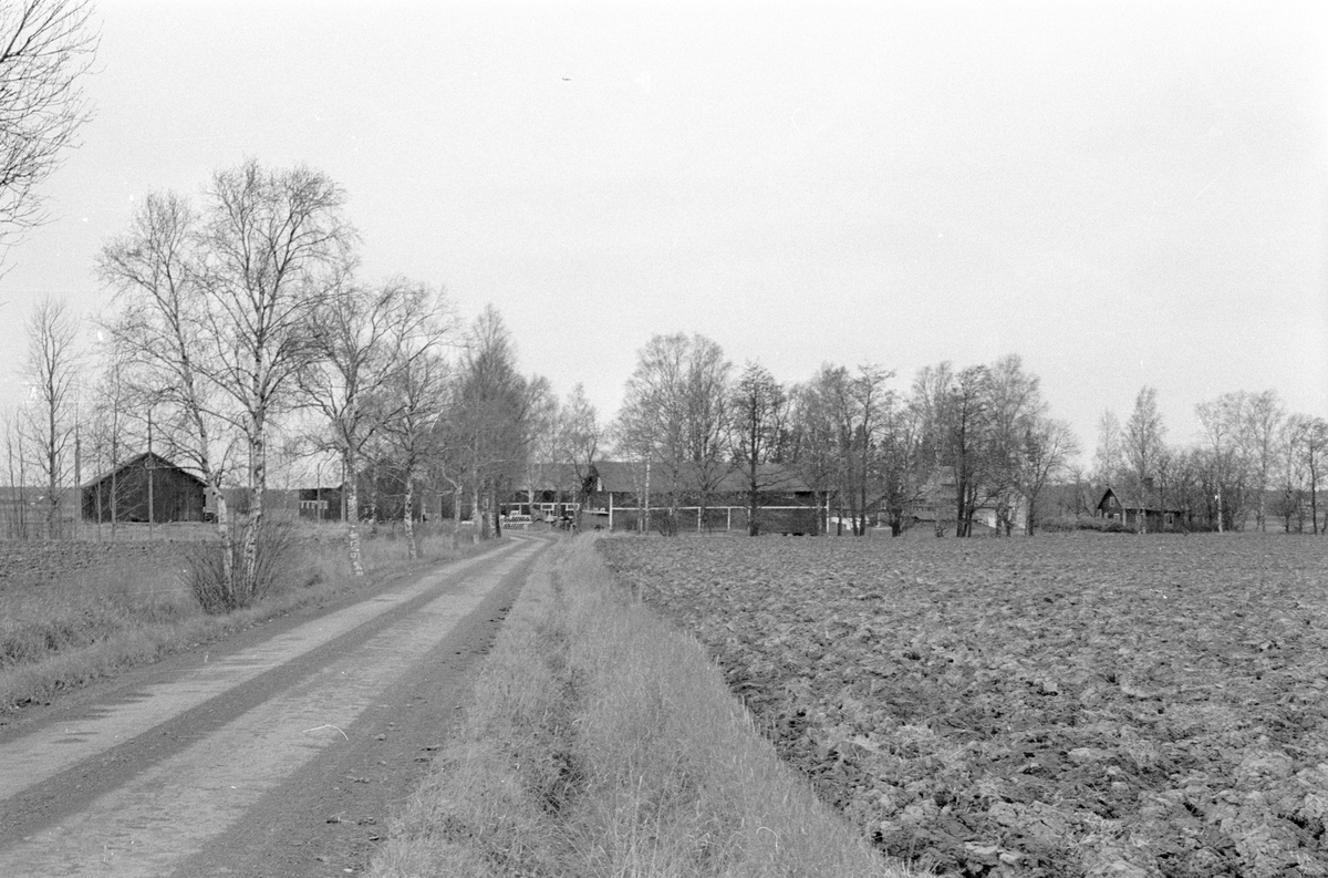 Vy från öster över Hånsta 3:4 med flera, Hånsta, Lena socken, Uppland 1978