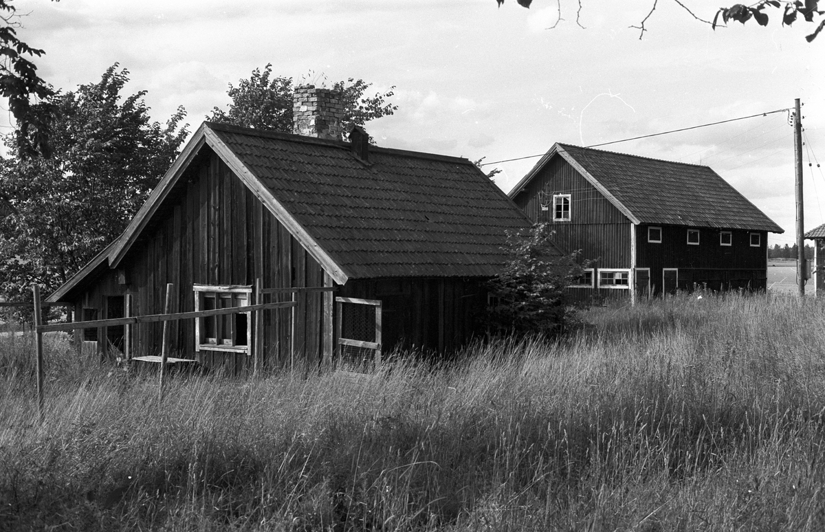 Ekonomibyggnader, Ekeby S:1, Rasbo socken, Uppland 1982