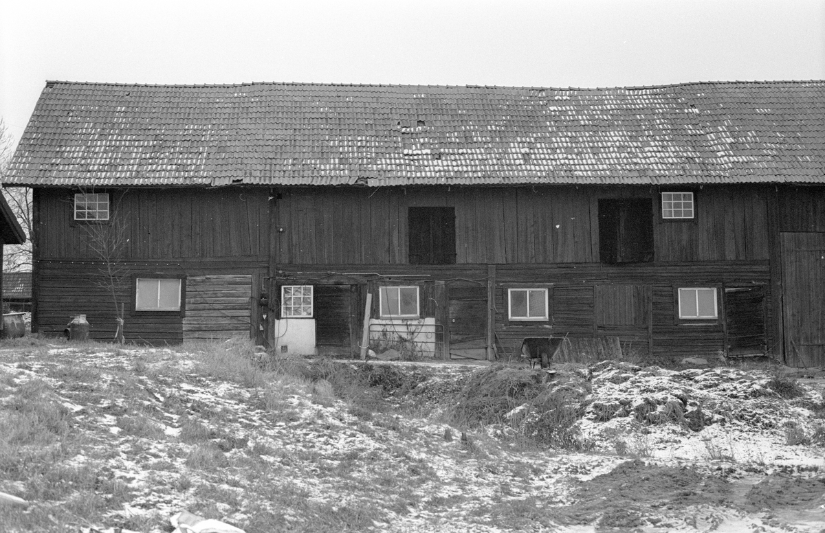 Ladugård, Hagby 1:5, Hagby, Hagby socken, Uppland 1985