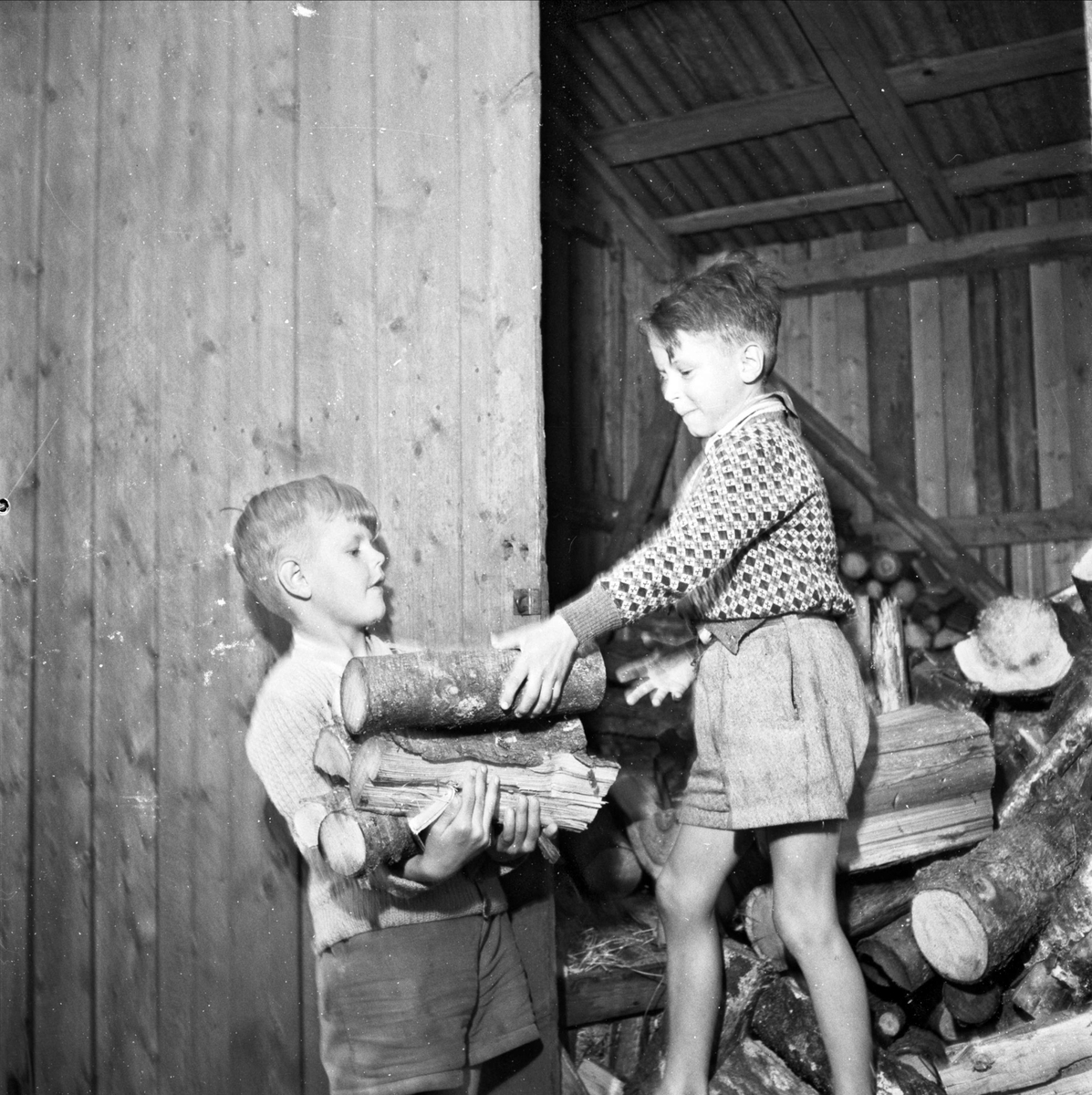 "Edakoloniens barn utan hemlängtan i sommarparadis" - Erik Carlman och Åke Jansson hämtar ved, Eda skollovskoloni, Lagga socken, Uppland juni 1952