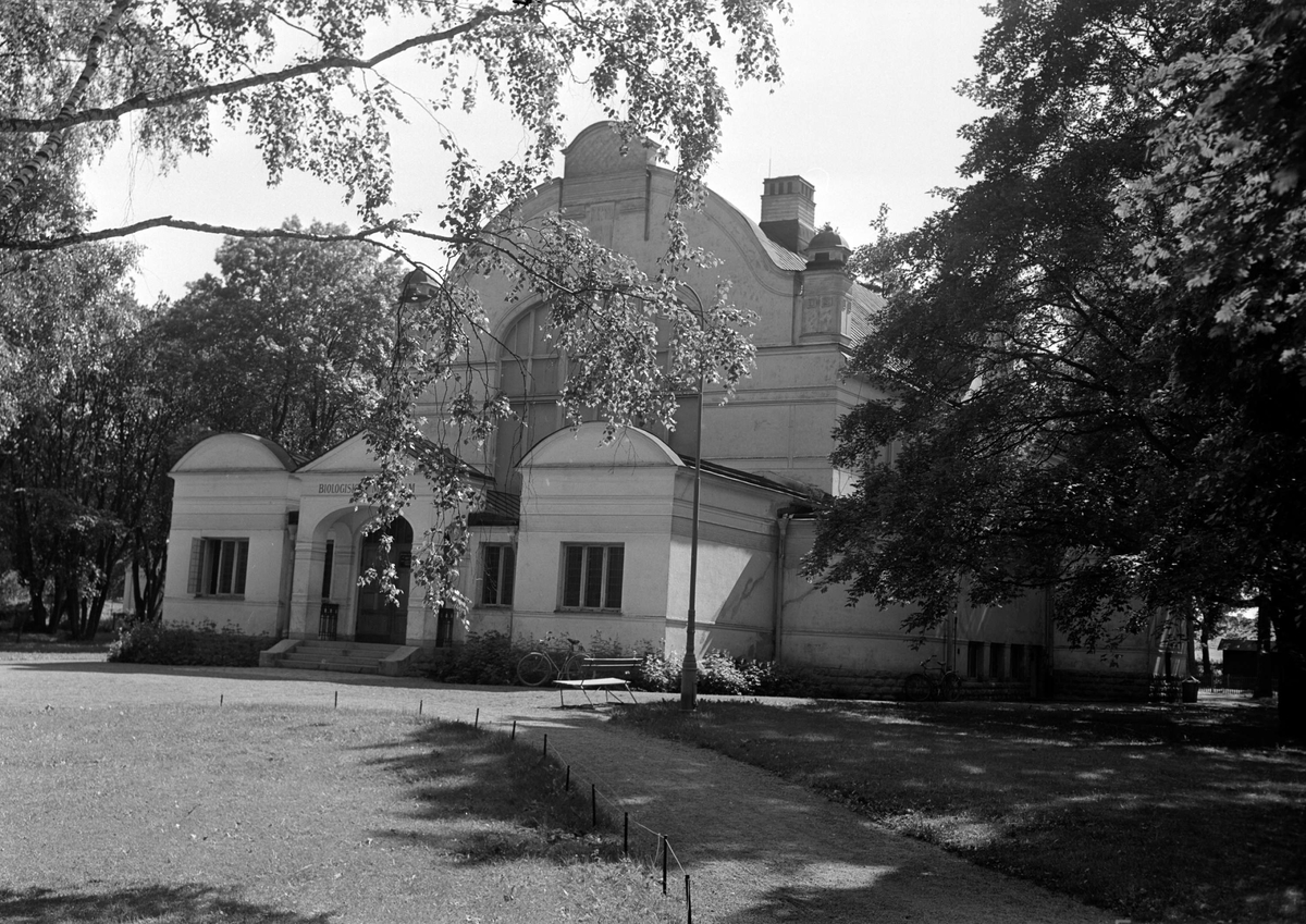 Biologiska museet, Skolparken, Uppsala juli 1956