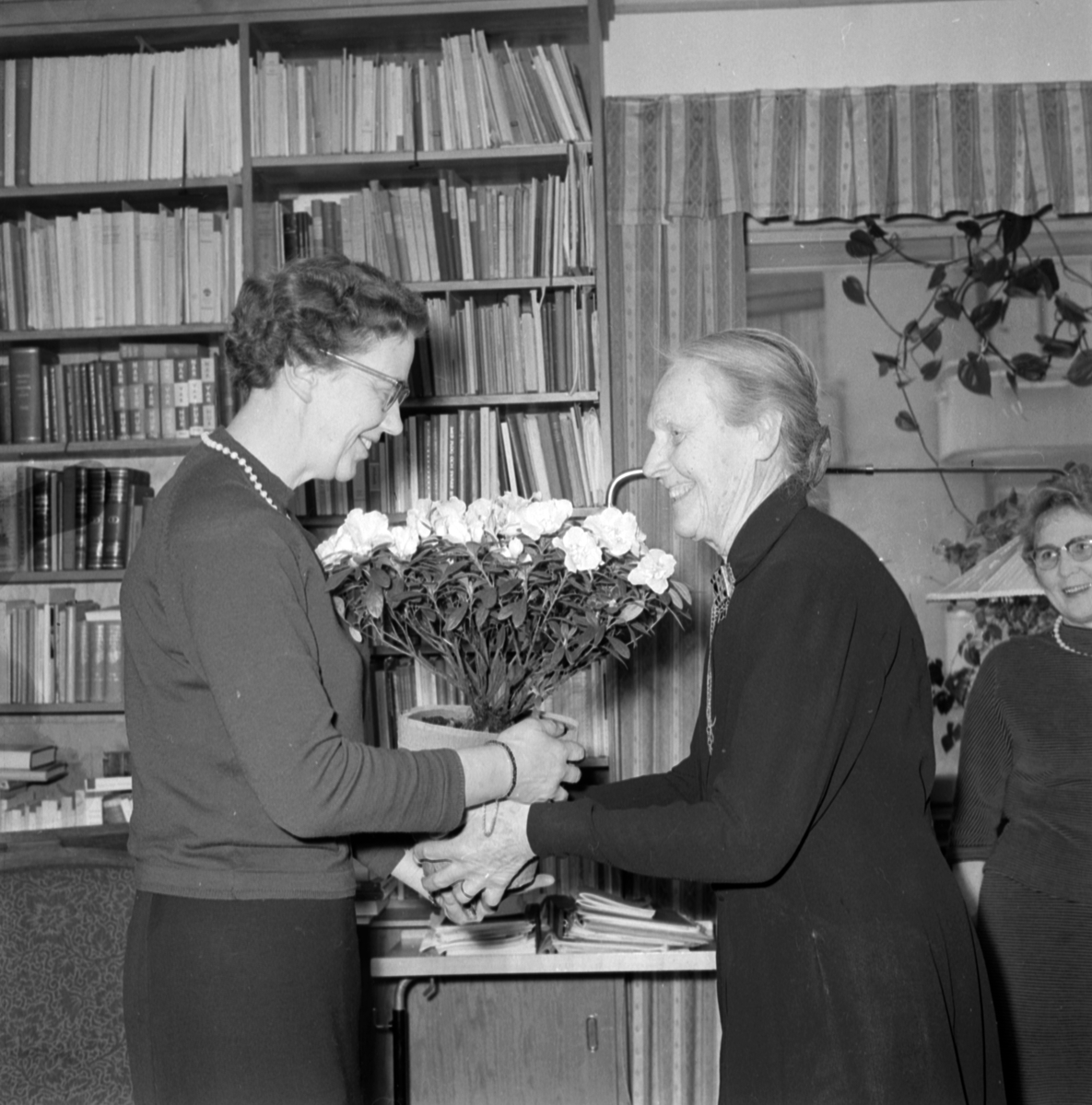 "Azalea till Blenda" - Sveriges första kvinnliga stadsfullmäktigeordförande Blenda Ljungberg uppvaktas av Gertrud Wiklund, ordförande i Uppsala Kvinnoföreningars Samarbetskommitté, Uppsala januari 1959