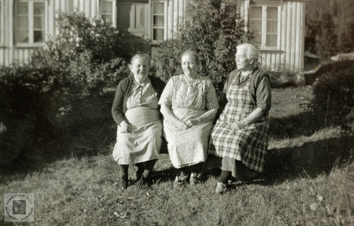 Tre nabokoner i Selandsgrenda i Grindheim på besøk.