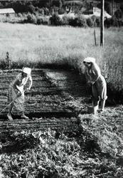 Kjøkkenhagen blir klargjort. Grindheim Audnedal.