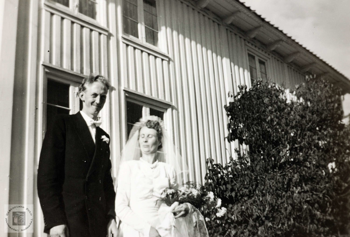 Brudebilde av Ånen og Maria Byremo. Grindheim Eiken.