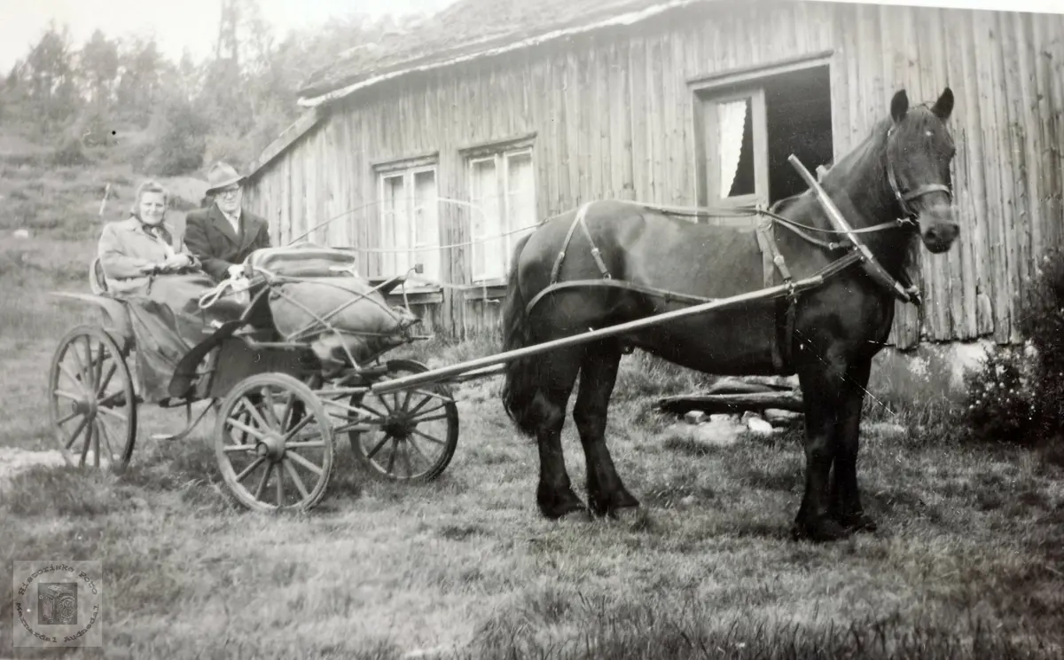 Klar for tur med hest og trille på Iveland, Konsmo Audnedal.