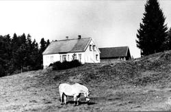 Fladeli i Øyslebø.