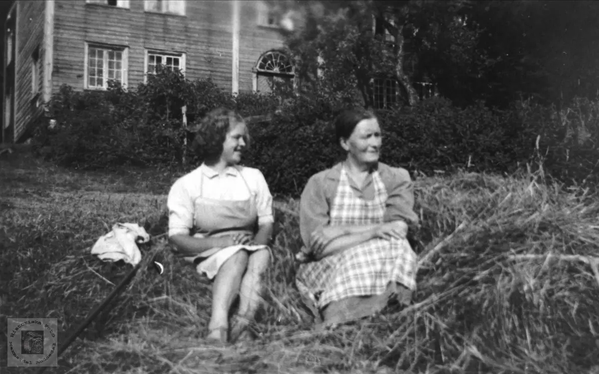 Kvinner i høyet. Anna og Gudny Finsdal, Øyslebø.