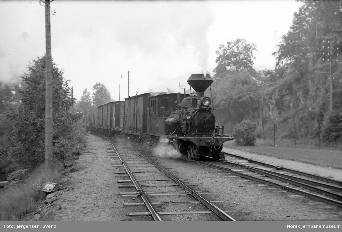 Damplokomotiv nr. 2 med godstog 5661 kjører inn på Hægeland stasjon