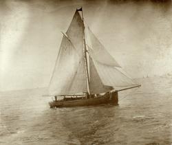 No. 33. Sköite for bankfiske - regattaen Aalesund 1898
