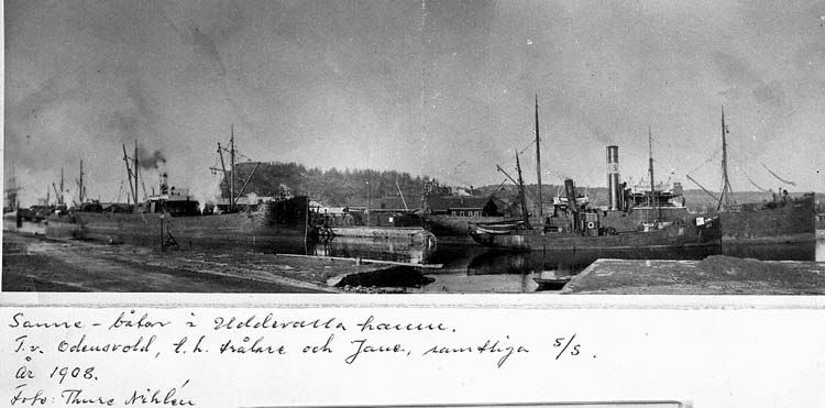 Text på kortet: "Sanne-båtar i Uddevalla hamn. T.v. Odensvold, t.h. trålare och Jane, samtliga s/s. År 1908. Foto Thore Nihlén".