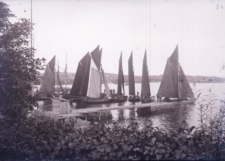 Enligt text som medföljde bilden: "Lysekil, Garnbåtar vid ångbåtsbryggan. Sept. 02.