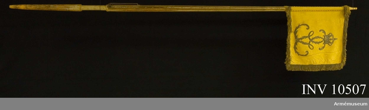 Enligt Cederström skvadronsstandar vid Smålands kavalleri under Gustav III. Senare använt vid Smålands Husarregemente. Duk av stormönstrad gul sidendamast med broderade emblem. På ena sidan sidan Gustav III:s namnchiffer, dubbla G under sluten kunglig krona, allt i silver. På andra sidan Smålands sköldemärke, ett dubbelsvansat rött lejon förande ett spänt armborst med pålagd pil. Lejonet i rött silke, bottensöm, med svarta klor, silver ögon och tänder. Armborstet i silver samt blått och svart silke, bågen blå, pilen silver och kolven svart.  Kantad med en 50 mm bred frans av silke och silver. Fransen   fortsätter runt om stången. Fäst med tre rader tännlikor på   sidenband. Stång av furu, målad vit med guld i refflorna. Längd från spetsen till dukens underkant 520 mm, till greppet 2190 mm.  Greppet 210 mm och hela stången 3090 mm. Med löpande bärring  och stigbygel i rem av tunnt läder. Holkens längd 140 mm. Spets av förgylld mässing med Carl Johans, senare Carl XIV Johans, monogram under sluten kunglig krona. Kordong av silversnodd, hopsydd av band, avslutad av fransen av gult silke och guld. Längd 1120 mm. Samhörande fodral av svart pegamoid, längd 1020 mm, bredd 230 mm.