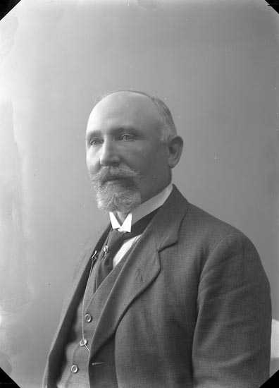 Enligt fotografens journal nr 2 1909-1915: Wetterqvist, Doktor Ön".