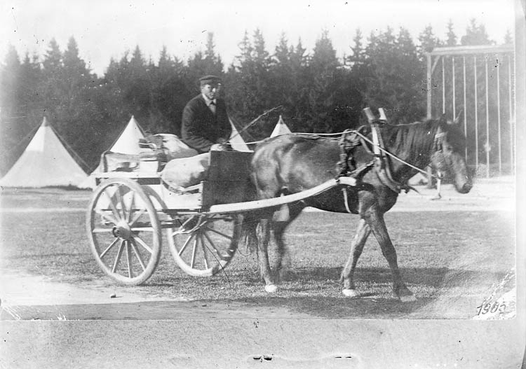 Text till bilden:"Foto av en tavla. 1905. Häst och kärra".