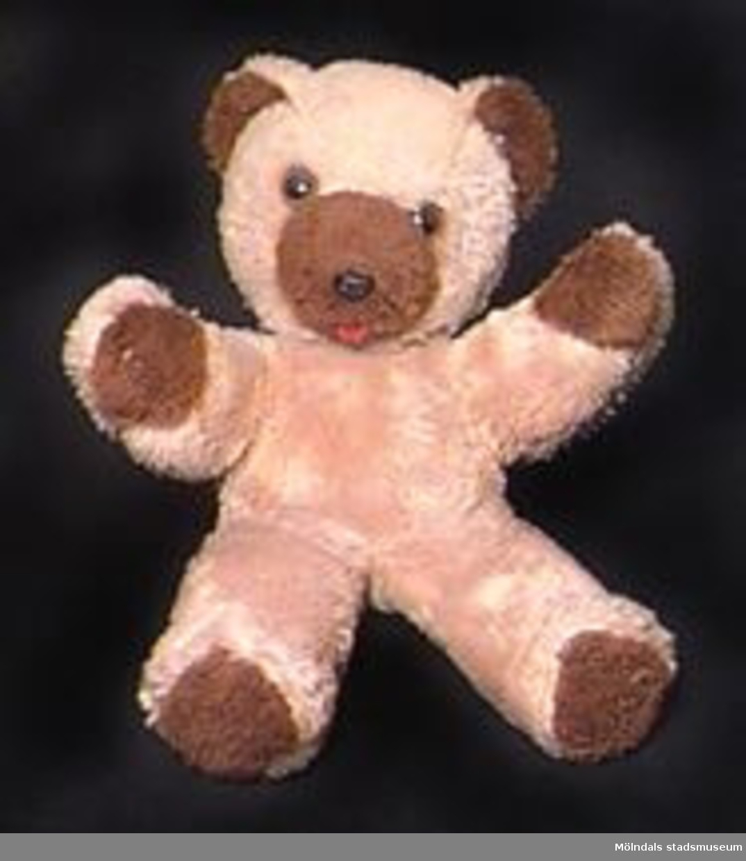 En mindre teddybjörn (nalle) i mycket ljust brun färg med mörkbruna "trampdynor", nos och inneröron. Glaskuleögon och plastnos i mörk ton. Mjukt stoppad.Katrinebergs daghem var ett kollektivt daghem.Gåvan förmedlad genom Birgitta Bilting.Tidigare sakord: teddybjörn.(Begreppet teddybjörn stammar från president Theodor Roosevelt och hans ingripande mot viss form av björnjakt med ungar som lockbete).