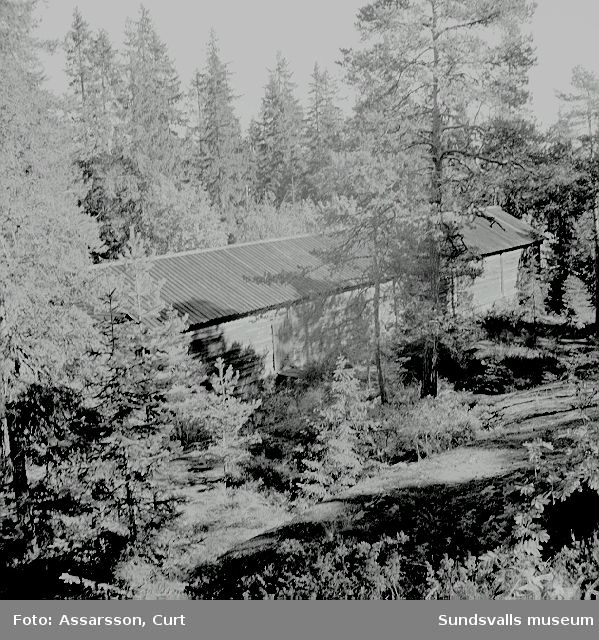 Fornhemmet Långlogen från Lo by, Stöde, byggd 1801.
Står numera på Norra berget.
