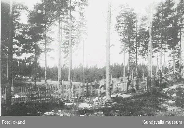 Norskt polistruppsläger, Bataljon 3. "Trening i löipa på Baggböle 1944."  (Text  i  fotoalbum. Ägare Eilif Johansen, Sellebakk.)