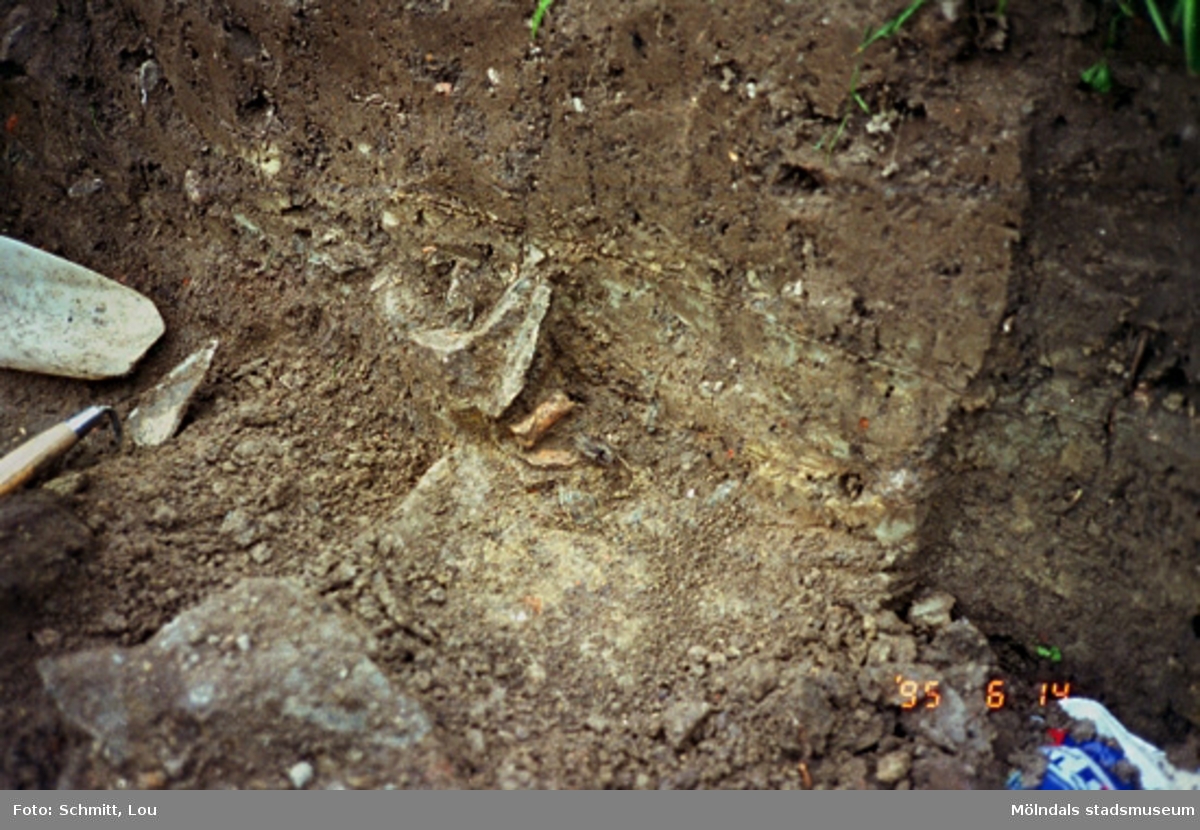 Arkeologisk utgrävning i Gunnebo slotts köksträdgård, maj 1995. Removal of a bone concentration found in (miz) of construction 1.