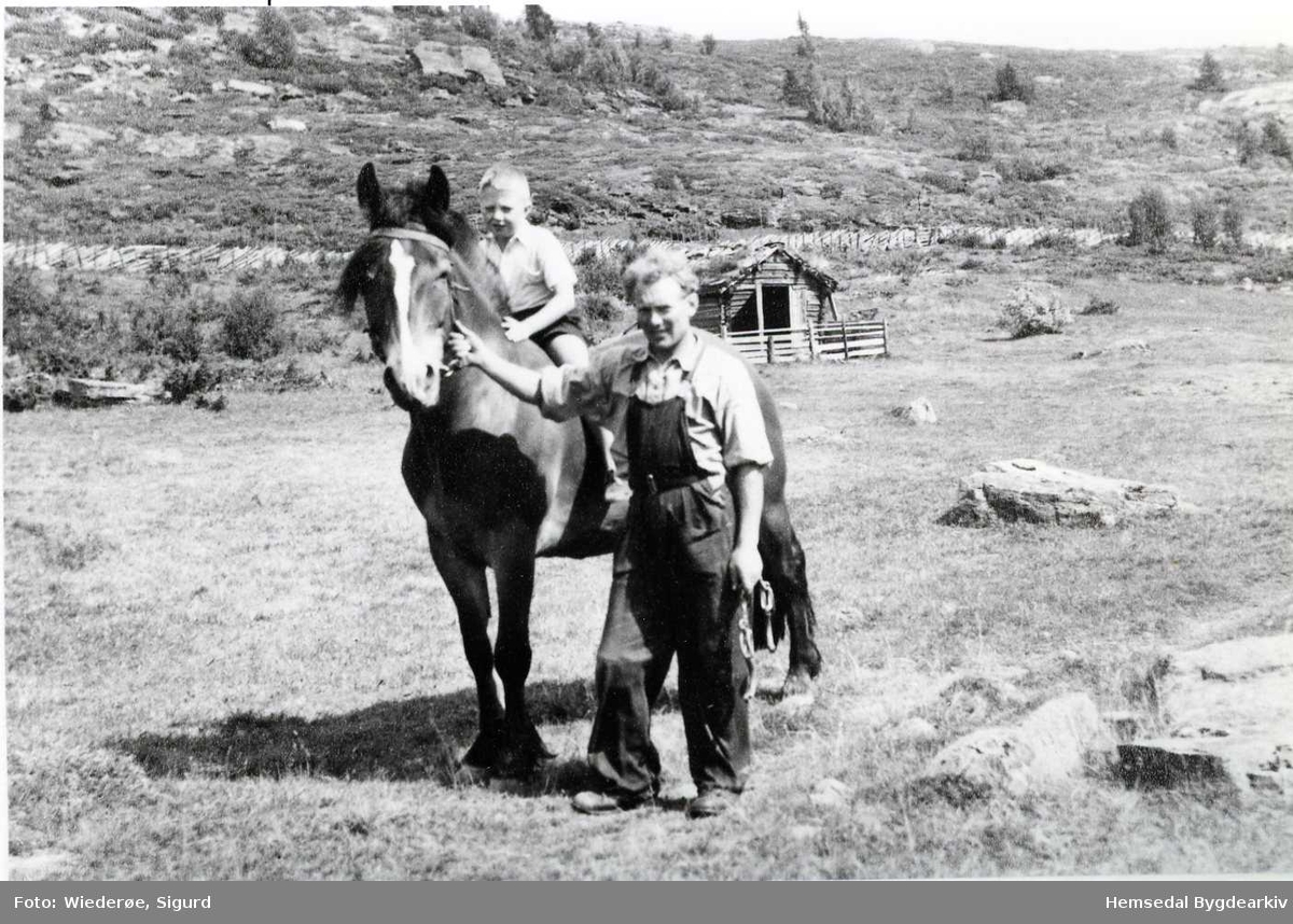 På stølen Sørehjallen i Hemsedal i 1950.. Engebret Grøthe held hesten. Guten ukjend. 63/6