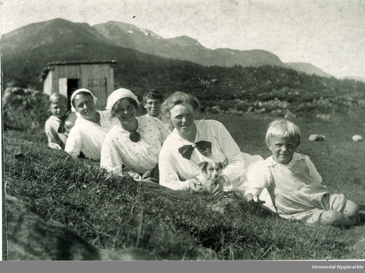 Feten i Grøndalen i Hemsedal i 1917.
Frå venstre: Rolf Dreyer. Rebekka Mehn, Amalie Dreyer, Erik Leinberg, Ragnhild Dreyer og Finn Dreyer Andersen ved utleigehytta "Sommerro".